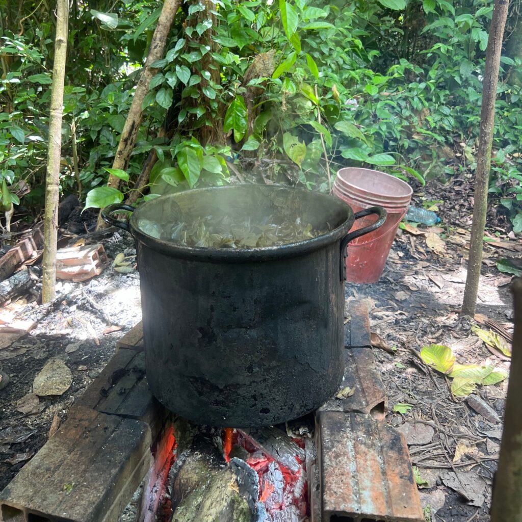 Noya Rao - Reiki Ibiza - ayahuasca